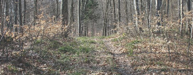 Die Barenburg - Eine Fluchtburg